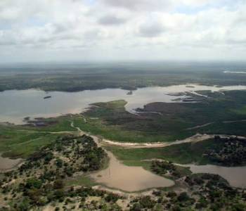 2-Day Safari Nyerere - Selous - Boat And Walking Tour