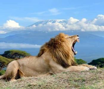 5 Days Amboseli National Park Safari Holiday Tour