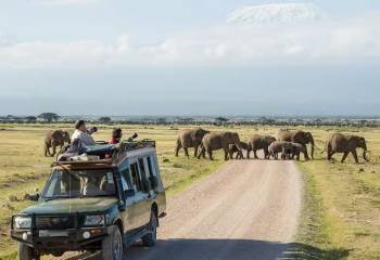 10 Days Safari Kenya - Tanzania Combine Tour