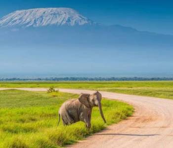 5-Day Kenya - Tanzania Combined Safari Full Glass For Jambo Mara Tour