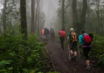6 Days Kilimanjaro Machame Route Tour
