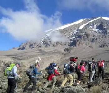 6 Days Kilimanjaro Trekking - Lemosho Route Tour