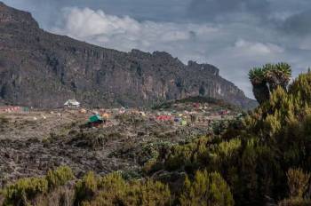 7 Days Kilimanjaro Trekking - Lemosho Route Tour