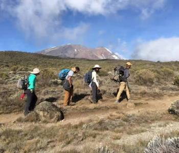 7 Days Kilimanjaro Umbwe Route Hiking Tour