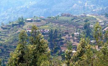 4 Days Usambara Mountain Cultural Tour - Walking