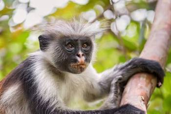 3 Days Zanzibar Beach Holiday Tour