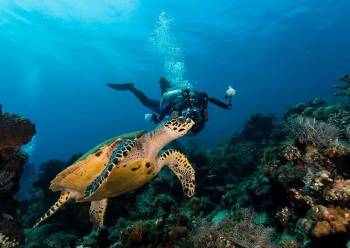 5 Days Zanzibar Beach Holiday Tour