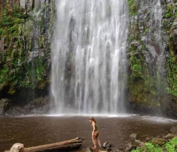 1 Day Cultural Tour - Waterfalls And Coffee Excursion