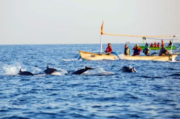 Honeymoon Special Bali Package
