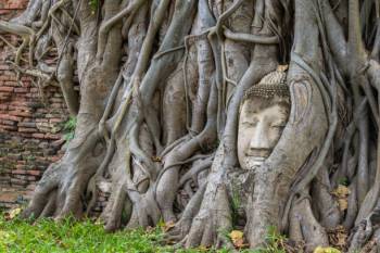 7 Nights 8 Days Varanasi Tour