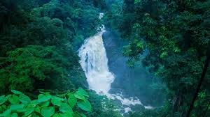 5 Nights 6 Days Munnar