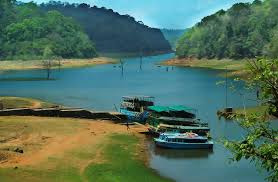 5 Nights 6 Days Munnar