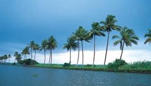 5 Nights 6 Days Munnar