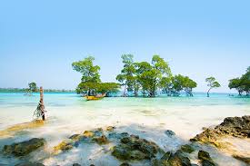 5 Nights 6 Days  Andaman and Nicobar