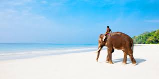 5 Nights 6 Days  Andaman and Nicobar