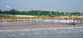 3 Nights 4 Days  Puri Bhubaneshwar