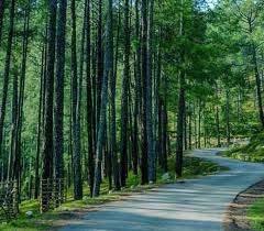 2 nights 3 days Kodaikenal Tour Plan