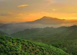 Darjeeling. 3 Nights 4 Days