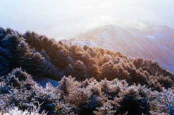 Darjeeling. 3 Nights 4 Days