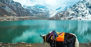 Gangtok and Darjeeling 4nights 5 Days