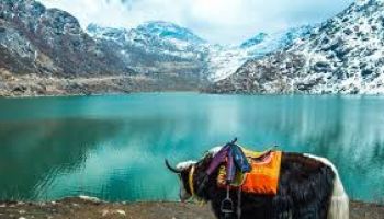 Darjeeling 2N - Gangtok 3N Tour