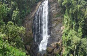 Thekkady Tour Packages