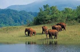 Munnar - Thekkady - Alleppey - Kovalam Tour