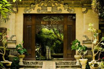 5 Night / 6 Days Bali Tour Package
