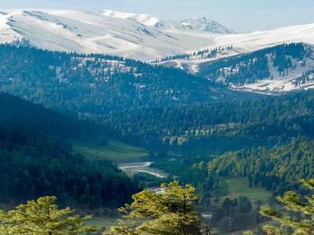 Kashmir Trip With Offbeat Places 8 Nights 9 Days