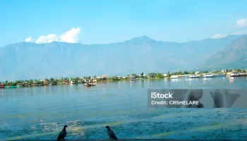 Discover Kashmir Trip 4 Nights - 5 Days