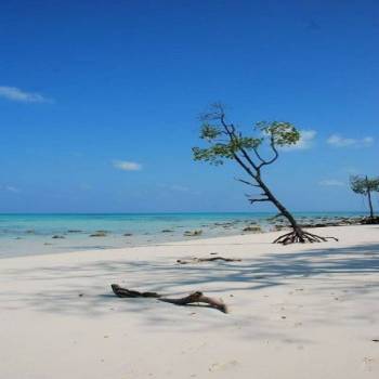5 Nights 6 Days Explore Andaman Holidays Package Includes Baratang Island