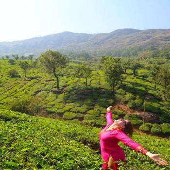 2 Night 3 Days Munnar Tour