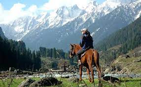 Glorious Kashmir - Srinagar 3D Sonmarg 1D Gulmarg 1D Pahalgam 2D