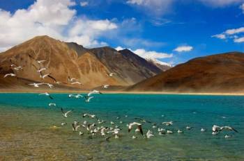 The Gems Of Ladakh - Leh (3D)Nubra Valley 1D Pangong 1D - 4N-5D