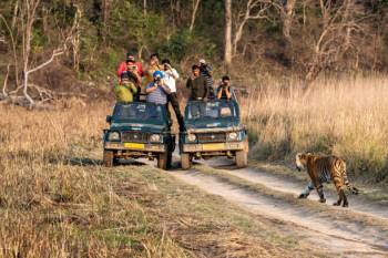 Jim Corbett Packages For A Refreshing Getaway