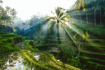 4 Nights 5 Days Bali travel package for a couple