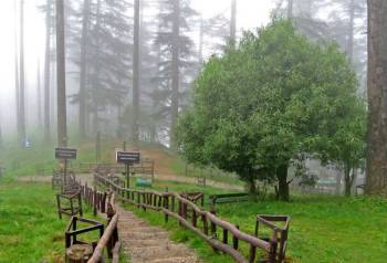 7Days Haridwar - Rishikesh - Mussoorie Tour Ex - Dehradun