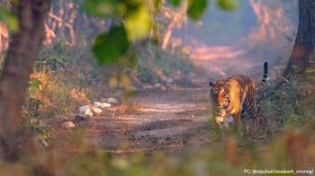 Jim Corbett Nainital Tour Package