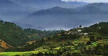 Ranikhet Tour Packages