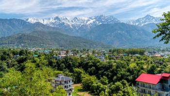 Exciting Dharamshala  Tour ( by Car )
