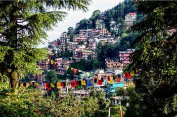 Exciting Dharamshala  Tour ( by Car )
