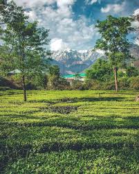Exciting Dharamshala  Tour ( by Car )