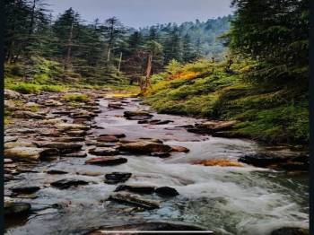 Kasol Tour Packages