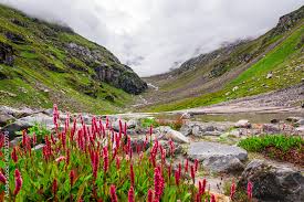 HAMPTA PASS TREK - MANALI 2024