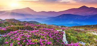 Valley of Flowers with Hemkund Sahib 2024