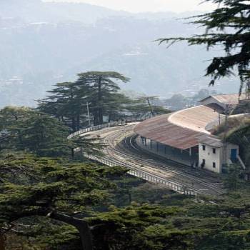 SHIMLA KUFRI TOUR LUXURY PACKAGE