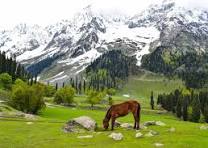 9 NIGHTS 10 DAYS SRINAGAR TO SRINAGAR KASHMIR PACKAGE