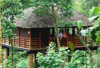Kerala Tree House Adventure Tour