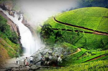 Explore Munnar Package  3 Days