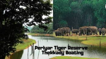 Munnar- Thekkady- Kovalam- Alleppey House Boat Tour